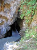 Image for Oregon Caves National Monument