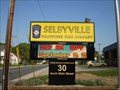 Image for Selbyville, Delaware Time and Date Sign
