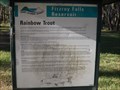 Image for Rainbow Trout- Fitzroy Falls Reservoir, NSW, Australia