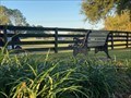 Image for Judy Morgan-Woodward dedicated bench - The Villages, Florida