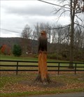 Image for Carved tree stumps - Apalachin, NY
