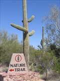 Image for Saguaro National Park Nature Trail - Arizona
