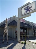 Image for Giraffe - Nocona, TX