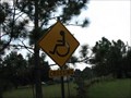 Image for Wheelchair Crossing
