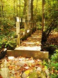 Image for Jones Branch Bridge #1 - Appalachian Trail - Erwin, TN