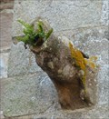 Image for Gargouille, Cathédrale St Tugdual, Tréguier, Bretagne - France