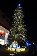 Image for Christmas Tree - Ario Nishiarai - Tokyo, JAPAN