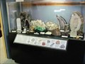 Image for Museum of World Treasures - Wichita, KS