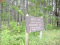 Image for Mule Lake Wildlife Management Area - Wabedo Township, MN