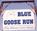 Image for Blue Goose Run - Illinois Corn Maze