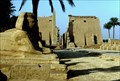 Image for Temple at Luxor, Egypt