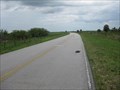 Image for Big Cypress Reservation Turtle Xing - FL