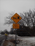 Image for Amish Buggie Sign - Geneva, NY
