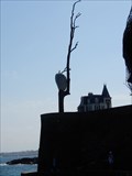 Image for l'arbre à la pierre de la villa Greystone - Dinard, France
