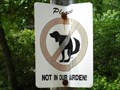Image for Not in Our Garden! - Takoma Park, MD