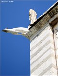 Image for Gargoyles at Duomo di Santa Maria Assunta / Cathedral of the Assumption of St. Mary (Pisa, Tuscany)