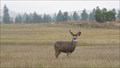 Image for Deer Park, Washington