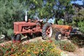 Image for Schnepf Farms - Farmall Model H - Old Tractors