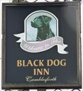 Image for Black Dog - Selby Road, Camblesforth, Yorkshire, UK.
