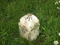 Image for Cut Benchmark on "Mid 1" Milestone on B6282 road nr Middleton-in-Teesdale, County Durham