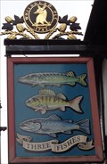 Image for Three Fishes - Shrewsbury, Shropshire, UK.