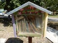 Image for Scates Playground Park Little Free Library - San Antonio, TX