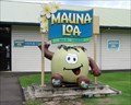 Image for Mauna Loa Macadamia Nut  - Keaau, HI
