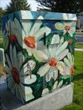 Image for "Daisies" - Coeur d'Alene, ID
