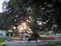 Image for Vietnam War Memorial at Library  -  Monrovia, CA