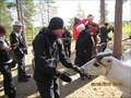 Image for Feed the Reindeers - Inari Reindeer Farm - Inari, Finland