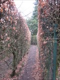 Image for Tatton's Maze, Tatton Park, Knutsford, Cheshire, England, UK