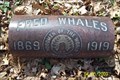 Image for Fred Whales, East Cleveland Township Cemetery, East Cleveland, Ohio