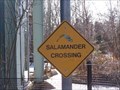 Image for Salamander Crossing