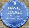 Image for David Lodge - Sydney Road, Richmond, London, UK