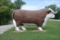 Image for Gilboa Giant Bull