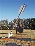 Image for Giant Arrow with Bison - Jayton, TX