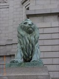 Image for Lion at National Museum - Tokyo, JAPAN
