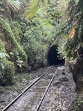 Image for Abandoned Train Tunnell, Helebsburgh, NSW, Australia