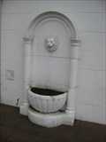 Image for Converted Lion Fountain - Fresno, CA