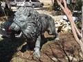 Image for Dragon Park Lion - Dallas, TX