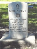 Image for Mike C. Pena-Bay City, TX