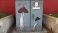 Image for Mushrooms - San Diego, CA