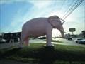 Image for Pink Elephant - Cookeville, TN