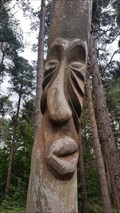 Image for Carved tree faces - Sherwood Pines Forest Park, Nottinghamshire