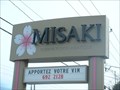 Image for Misaki (Mercier)