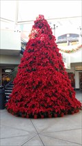 Image for Poinssettia Christmas Tree  -  San Diego, CA
