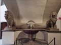 Image for Leones en el interior del Palacio Vecchio - Florencia, Italia