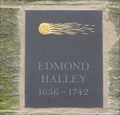 Image for Edmond Halley And Halley's Comet And Various Objects - Oxford