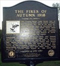 Image for The Fires of Autumn 1918