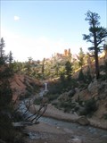 Image for Tropic Ditch - Bryce Canyon